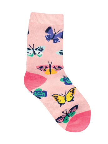 Butterfly Migration 2-4 years