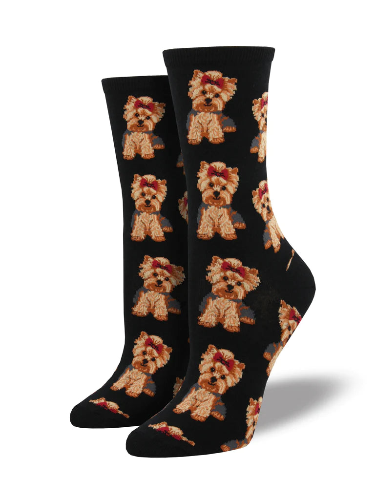 Yorkies- women